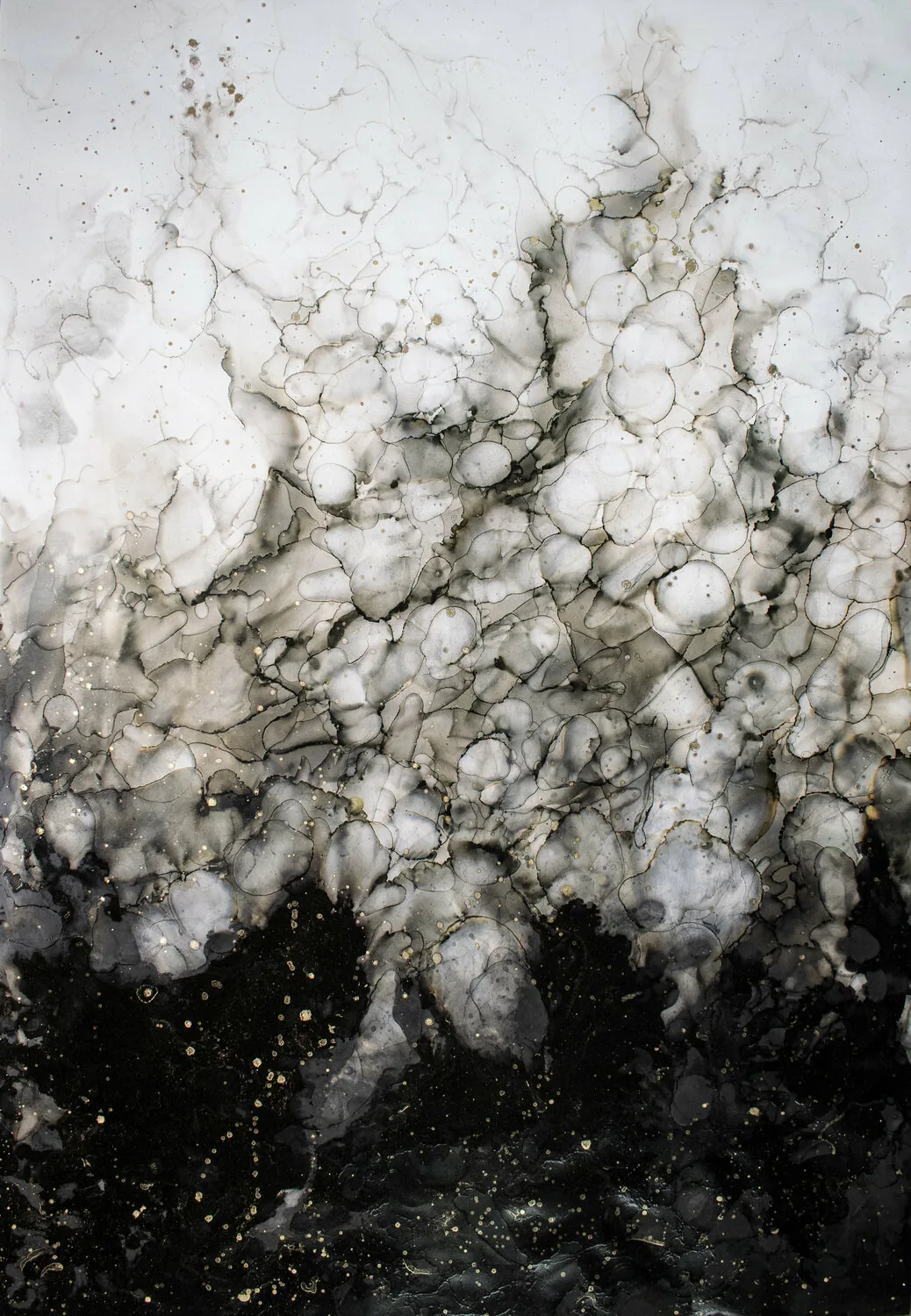 Between Light and Shadow #1